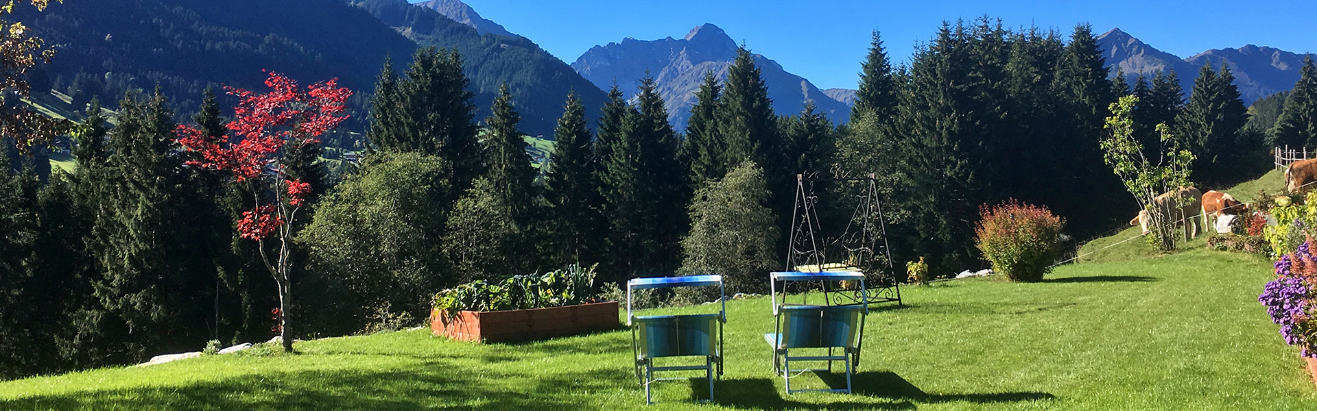 Ausblick vom Balkon der Ferienwohnung Widderstein in den Garten