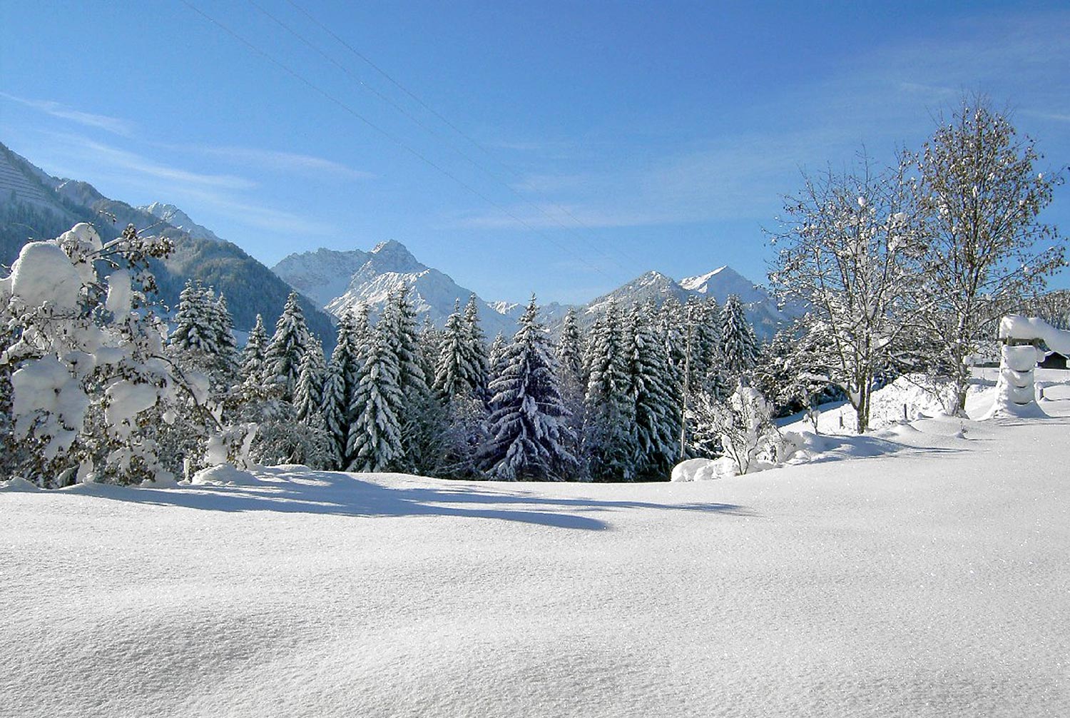 Verschneiter Garten und Bergblick - Haus Narzisse Kleinwalsertal